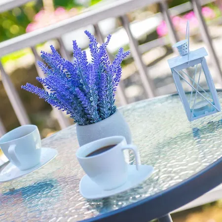 Stari View-free Parking Apartment *
